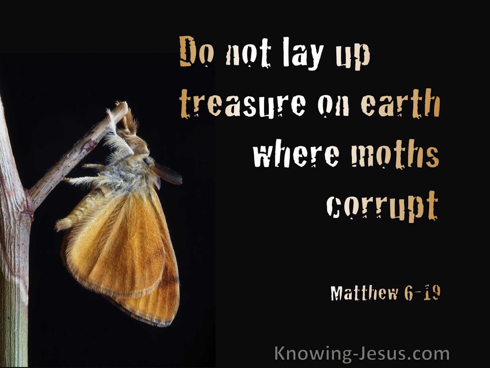 Matthew 6:19 Do Not Lay Up Treasure On Earth (black)